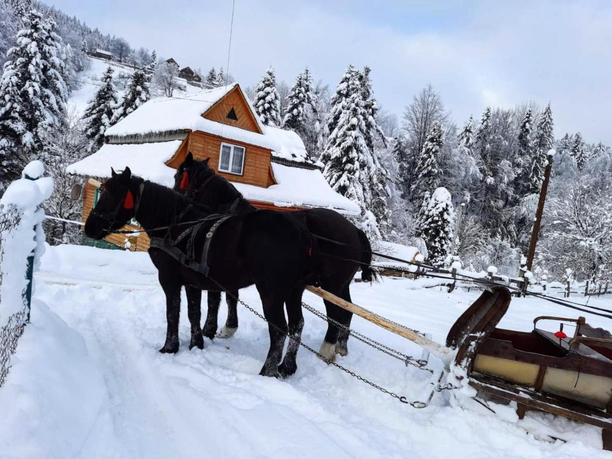 Cottage "Kliverent" Jaremcze Zewnętrze zdjęcie