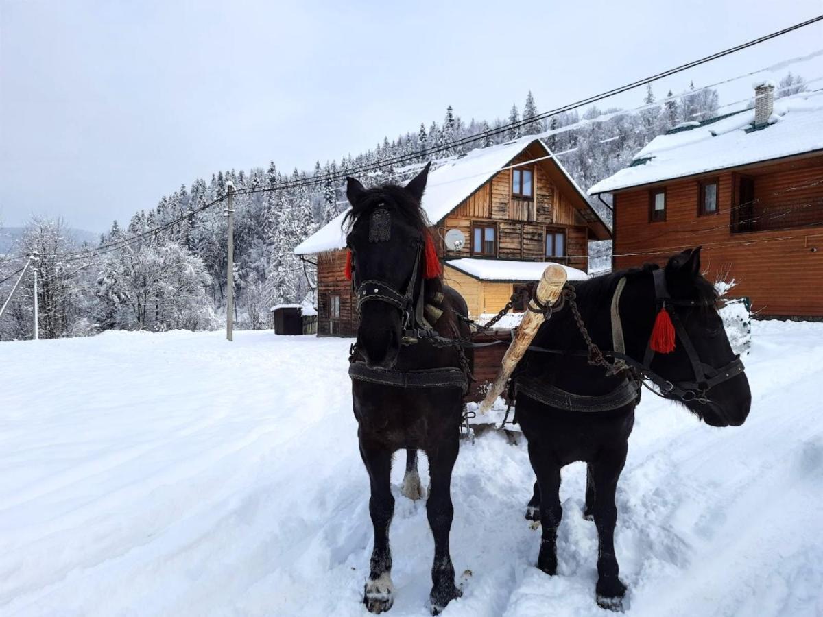 Cottage "Kliverent" Jaremcze Zewnętrze zdjęcie